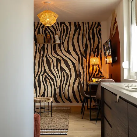 308 Chanzy - Savane Chic - T1 Spacieux - Centre Apartament Le Mans