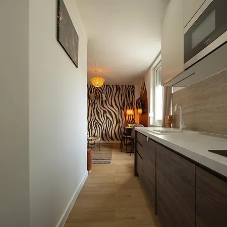 308 Chanzy - Savane Chic - T1 Spacieux - Centre Apartament